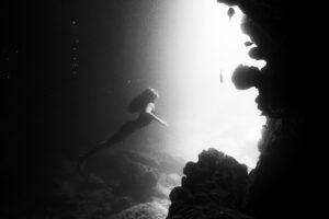 Lead Me to the Light