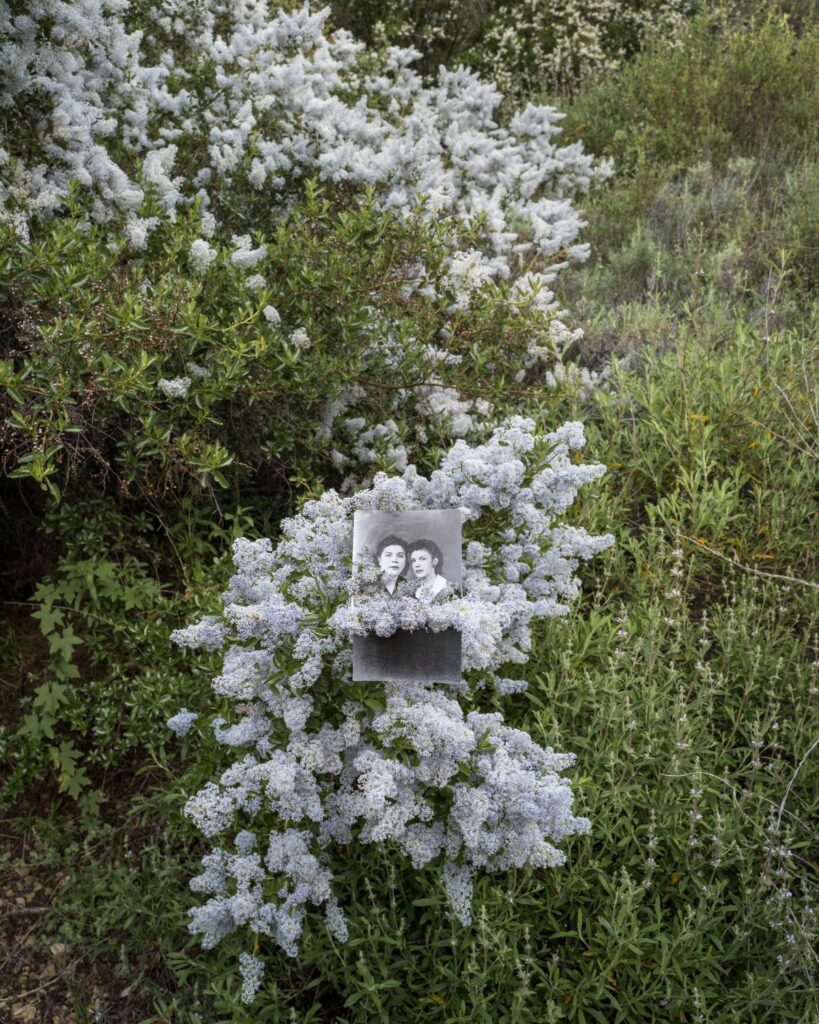 33c5fc5fddba9af756103de1bdbfd901428a6b4b-1800x2250