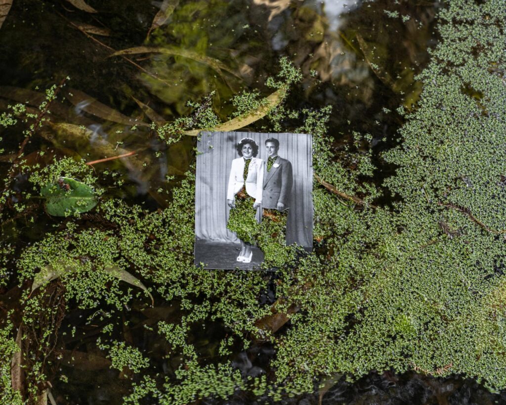 662aa8824bf70b19855d4dc46548d172089d1feb-2250x1800