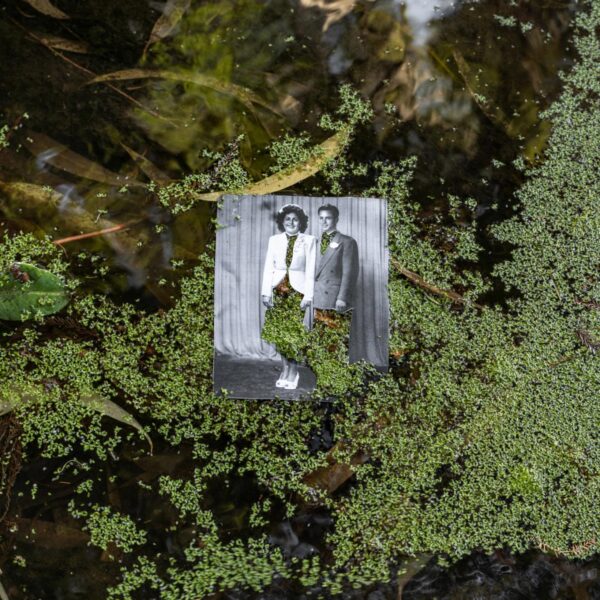 Amy Elkins – A Place Where We Are in the Sun