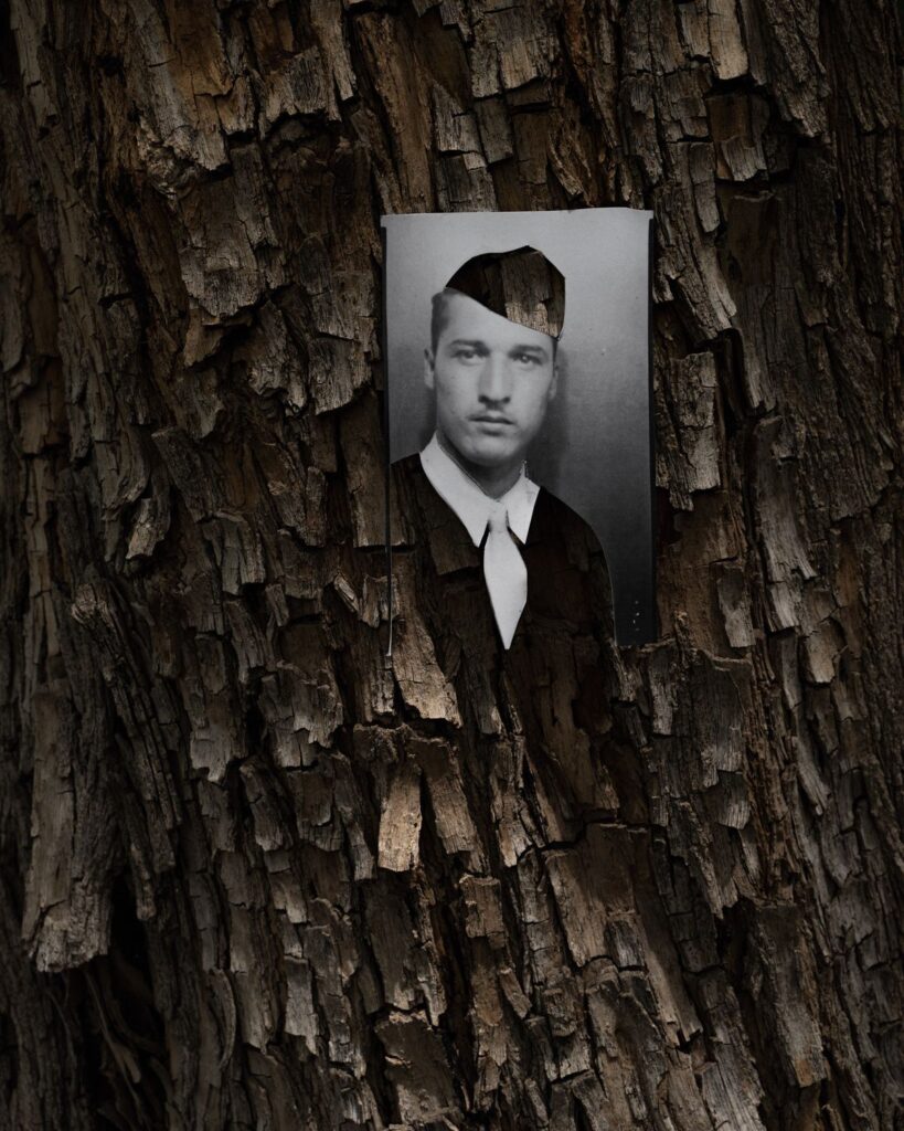 6c6d74c9fffb1d6cbe023ad29888515e161fbf47-1800x2250