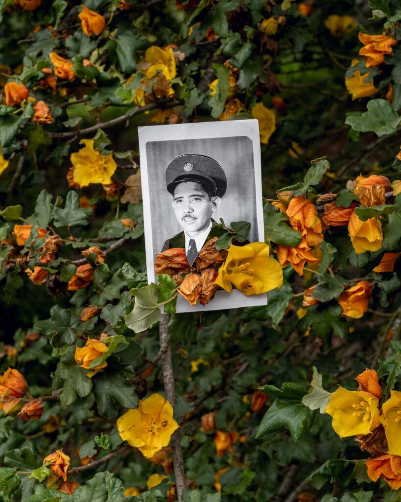 7e4bb3401b14ef243f37ac89d86aa230b9df5582-1800x2250