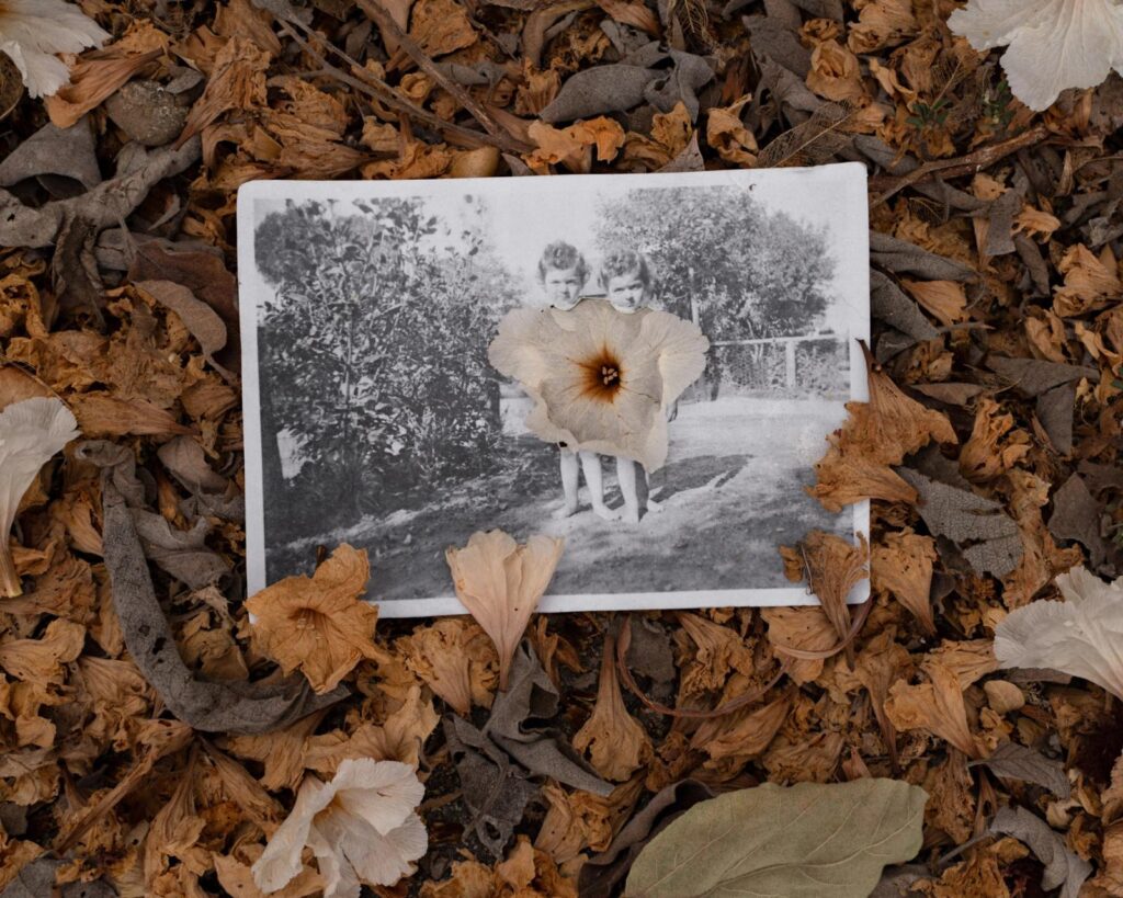 f618535c2ac71b66e73e87b9289509d6a4b0a6c0-2250x1800