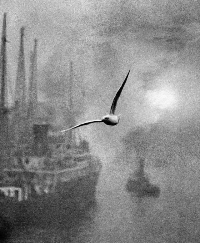 Bill Brandt, 20. yüzyılın en önemli Britanyalı fotoğrafçılarından biri olarak kabul edilir. 1904 yılında Almanya’da doğmuş, genç yaşta İngiltere’ye taşınarak kariyerini burada şekillendirmiştir. Brandt’ın çalışmaları, sosyal belgelemeyle sanatsal vizyonu birleştirmesiyle öne çıkar. 1930’ların başında başladığı belgesel fotoğrafçılık kariyerinde, özellikle İngiltere’nin sınıfsal yapısını gözler önüne seren kareleriyle tanınmıştır.

İkinci Dünya Savaşı yıllarında ve sonrasında, Brandt’ın odağı daha çok portre, manzara ve nü fotoğraflara kaymıştır. Özellikle distorsiyonlu nü çalışmaları ve şiirsel manzaraları, onu modern fotoğrafçılıkta kendine has bir yere oturtmuştur. Hem ışığı hem de perspektifi kullanma biçimi, zamanının ötesinde bir görsel anlatım yaratmıştır.

Brandt’ın eserleri hâlâ birçok büyük müze koleksiyonunda yer almakta ve çağdaş fotoğrafçılara ilham vermeye devam etmektedir. Onun çalışmaları, hem teknik ustalığı hem de insan ve mekân ilişkisine dair derin gözlemleriyle zamansız bir etki yaratır.
.
#billbrandt #aralıkmag